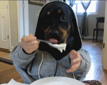 This dog is eating all the food