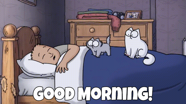 Animation of cats waking up their owner