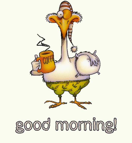 Animated bird just woke up drinking coffee