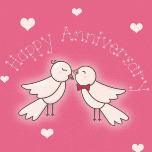A cute bird couple kiss on a pink background