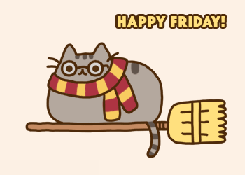 A cat flies on a broomstick on its way to a Hogwarts Friday party