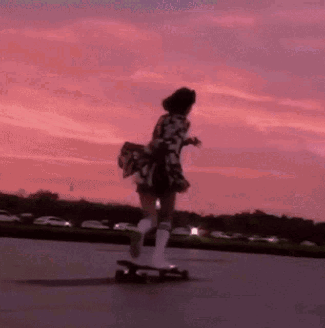 An aesthetic skater girl