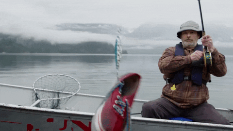 Fishing GIFs The Best GIF Collections Are On GIFSEC Fishing GIFs The Best GIF Collections Are On GIFSEC