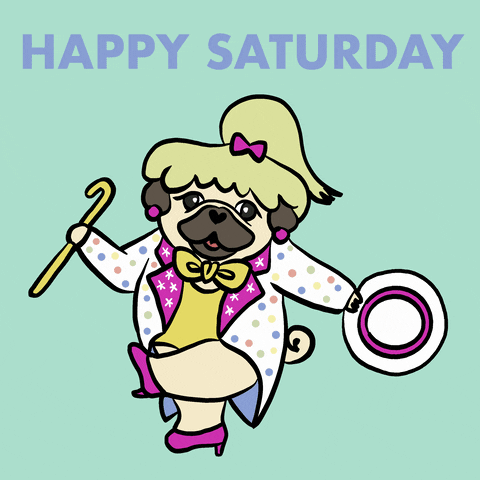 A dancing dog wishing you a happy Saturday