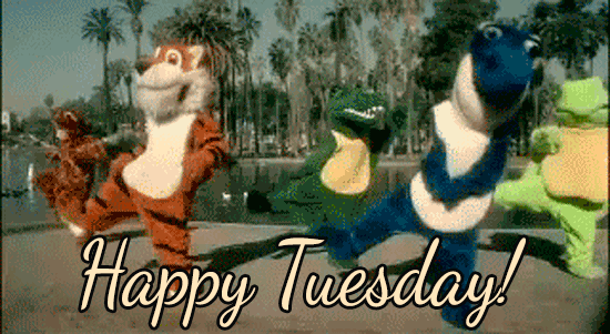 Five people wearing animal costumes dancing for a great Tuesday