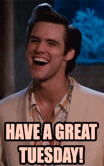 A happy Tuesday motivation from Ace Ventura