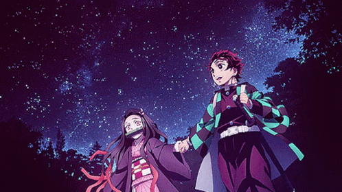 Tanjiro and Nezuko under a sky full of stars