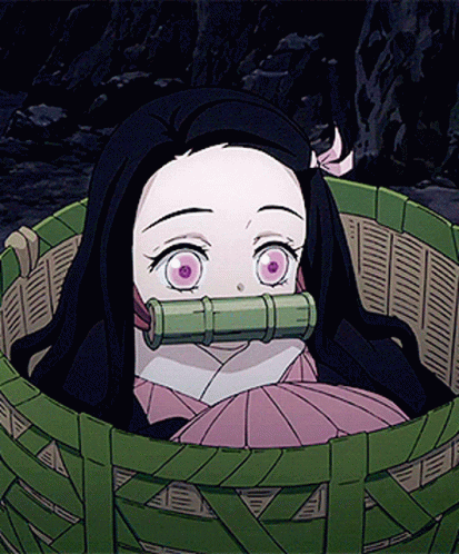 A cute Nezuko inside a basket