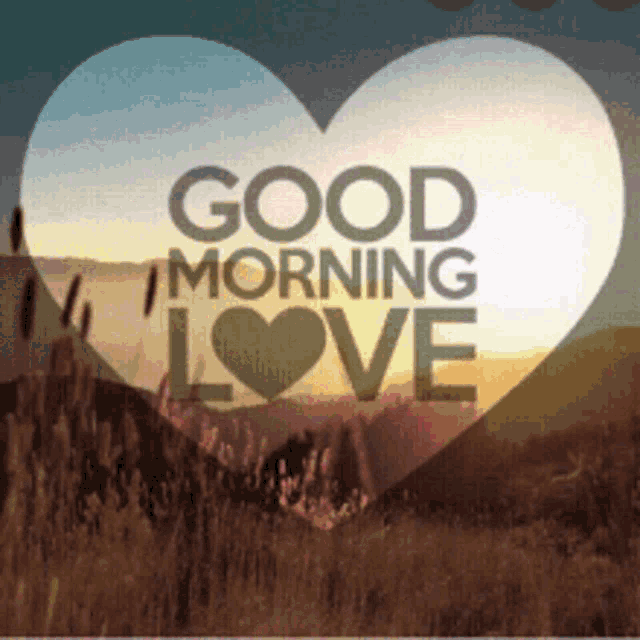 Good Morning My Love GIFs - The Best GIF Collections Are On GIFSEC