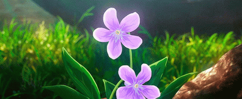 A beautiful anime purple flower