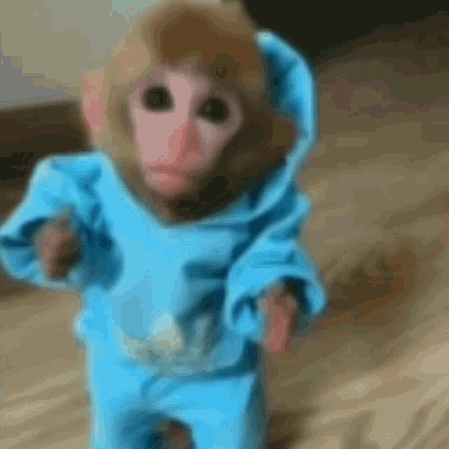 This little monkey got swag