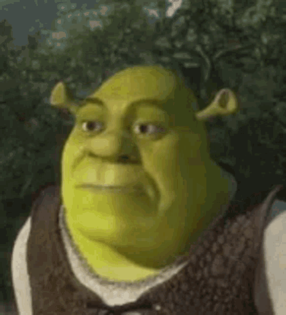 Shrek Shrek Dancing GIF - Shrek ShrekDancing Dancing - Discover & Share GIFs