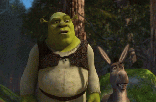 Shrek and Donkey are not sure what's going on