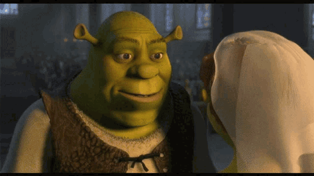 Shrek asks Fiona "Really Really?"