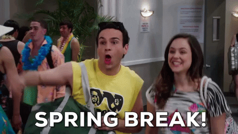 Spring Break GIFs - The Best GIF Collections Are On GIFSEC