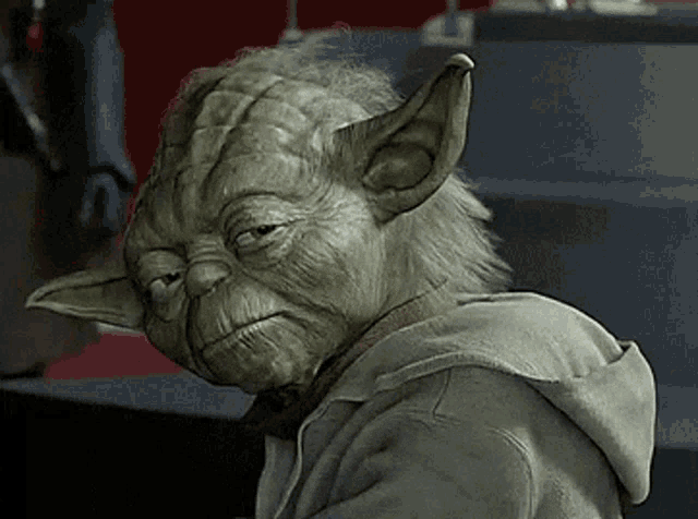 Yoda gives a good stare