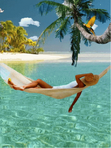 Summer GIFs - The Best GIF Collections Are On GIFSEC